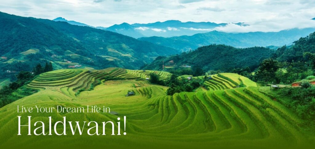 Experience High-Rise Living Like Never Before at Panorama Homes